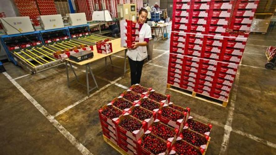 El PSOE pide ayudas en el Senado para las almendras y las cerezas