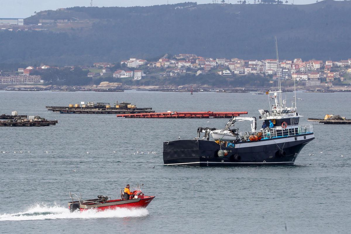 La captura con el arte del cerco conforma otro espectáculo en la costa arousana.