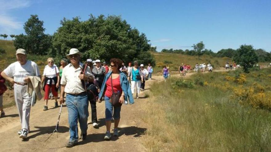 Despedida de la temporada de los «paseos saludables»