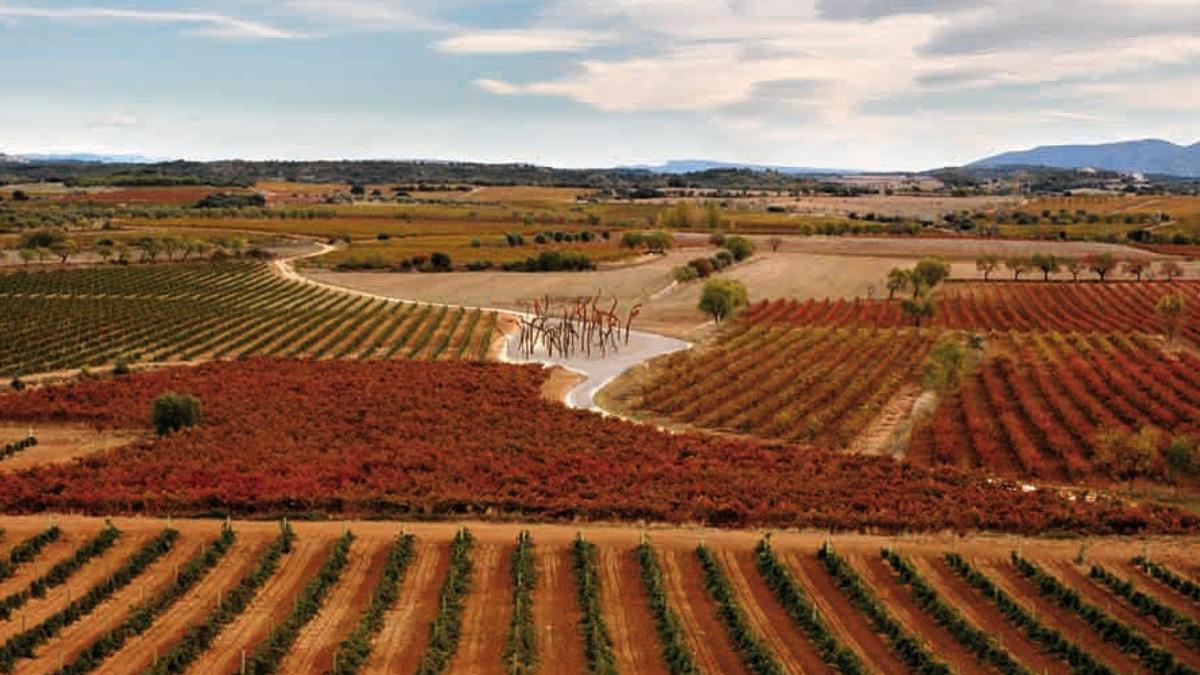Rutas del vino por España