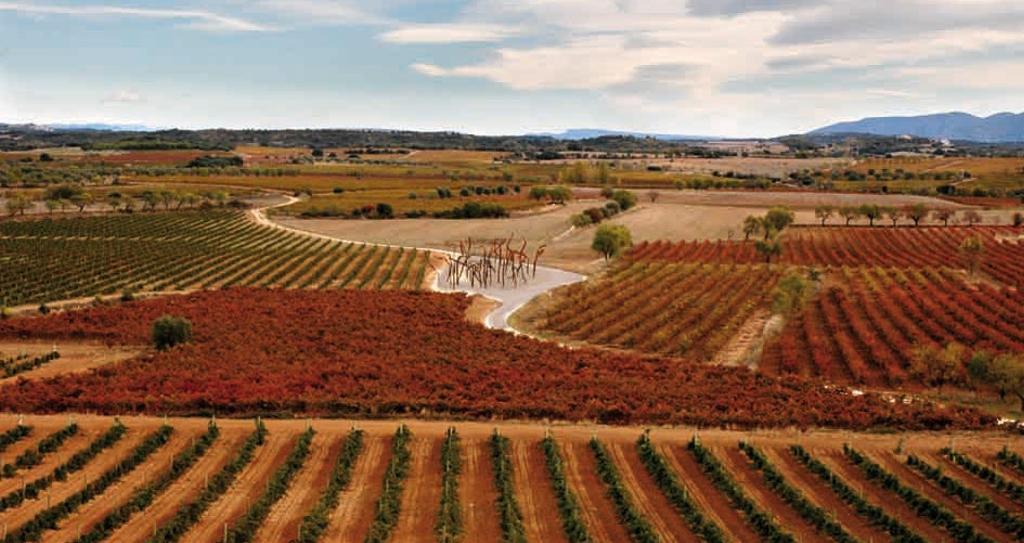 Rutas del vino por España