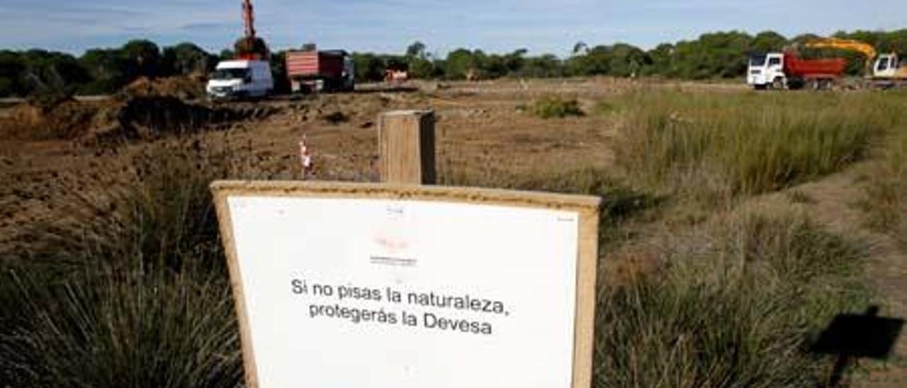 Al fondo, los camiones trabajan en una de las malladas afectadas por el fuego de este verano.