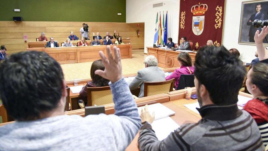 Un instante de la sesión plenaria en el Ayuntamiento de Torremolinos.