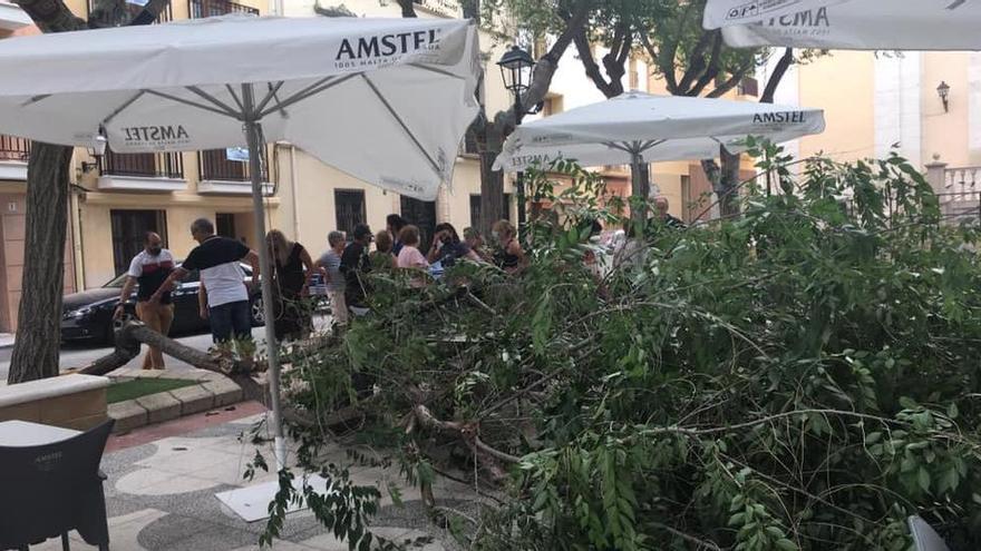 La rama ha caído en la zona del plaza ocupada por la terraza de un bar.