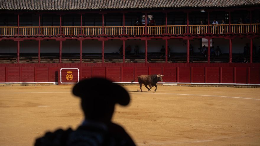 Tarde de Toros en Salamanca