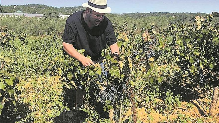 Bodega Flors ofrece una experiencia vitivinícola total