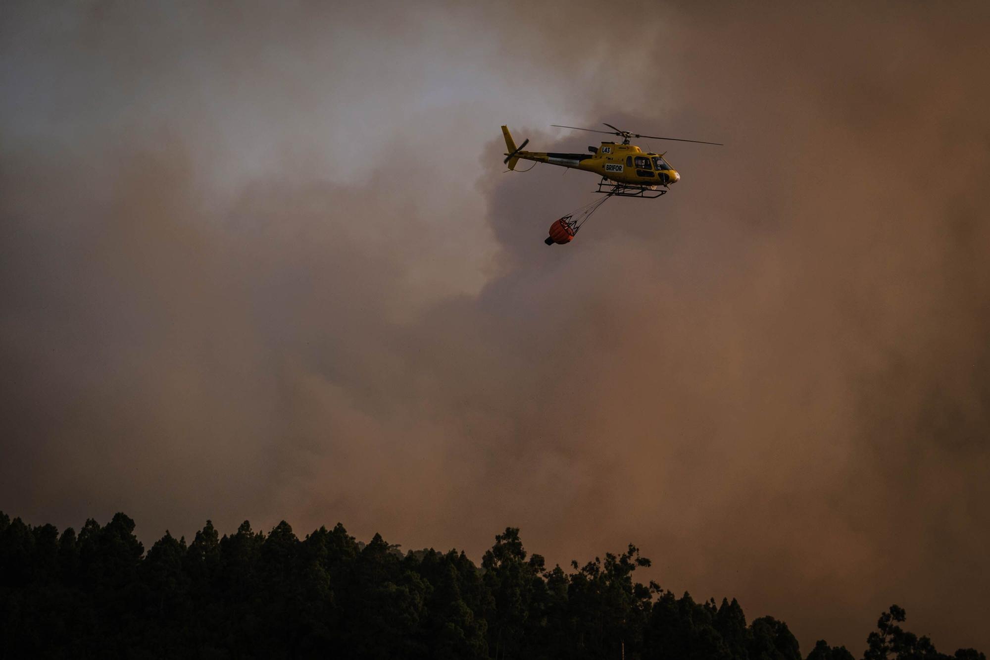 El incendio forestal de Tenerife, en imágenes