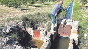 El camp adapta els cultius davant  la pressió de la inflació climàtica