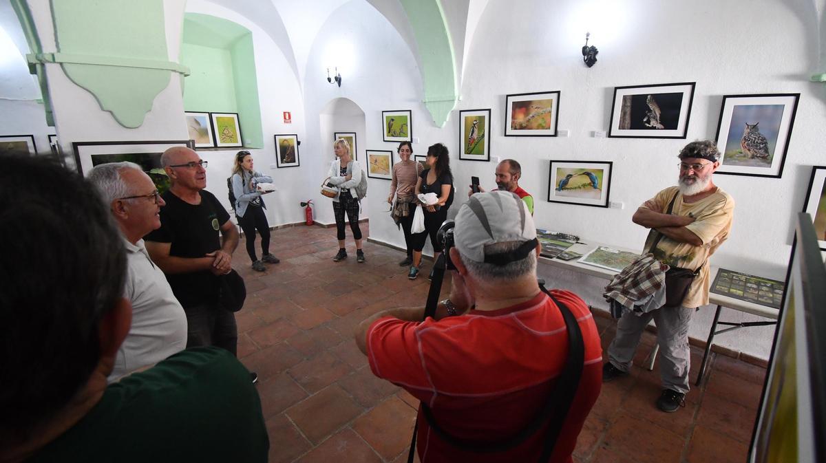 Zona expositiva de ‘Alpandeire en verde’