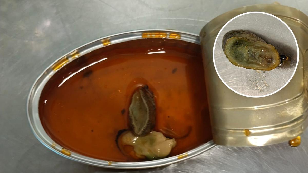 La lata de mejillones de Chile en escabeche con la babosa en su interior, que aparece ampliada en el círculo de la derecha