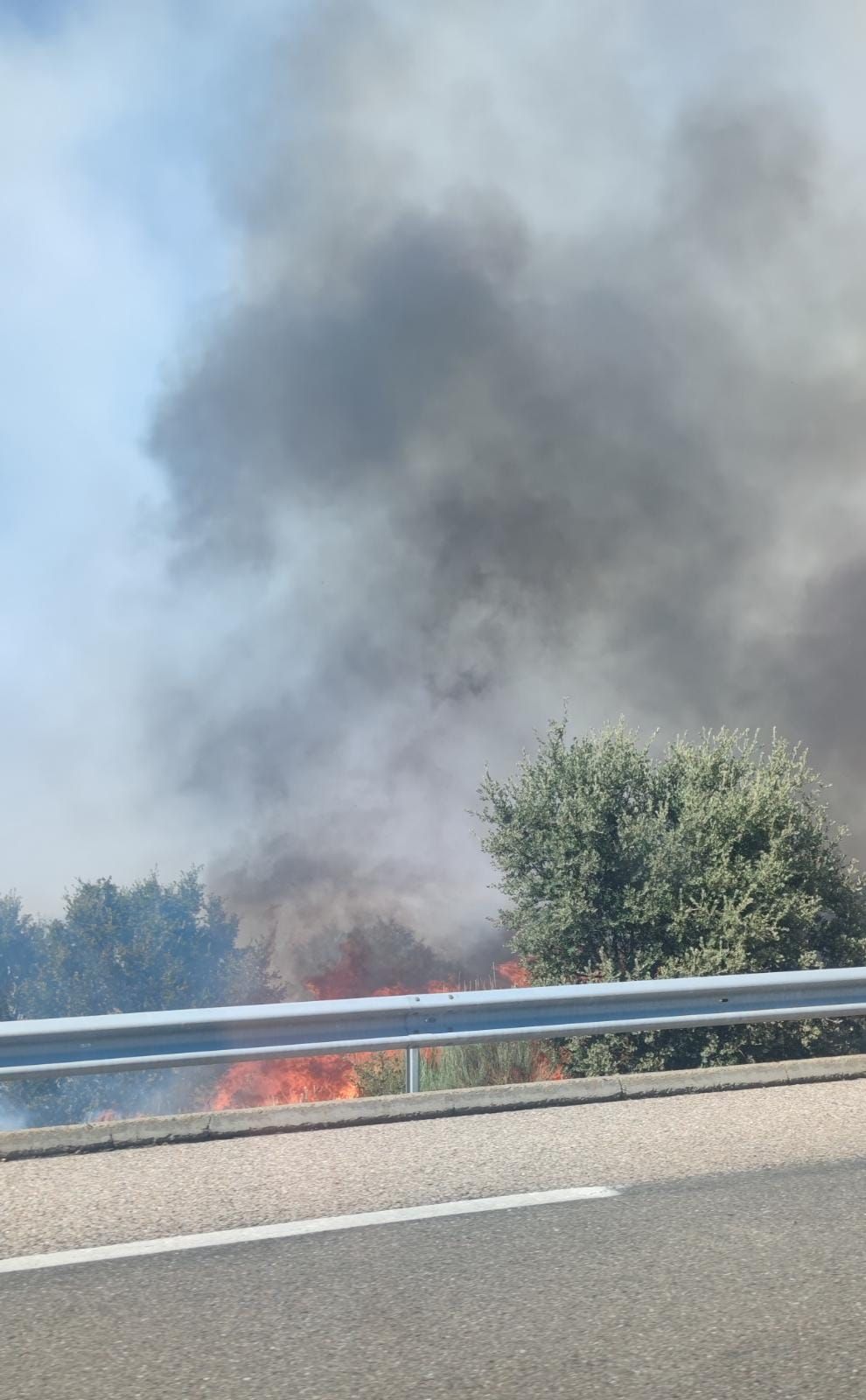 Incendio cercano a Santa Marta de Tera.