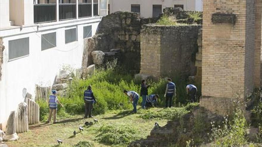 Arrancan las obras del templo romano tras la salida de los gatos