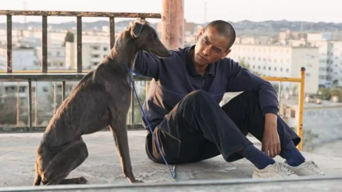 Cines Embajadores adapta una proyección de 'Black Dog' para que puedas ir a verla con tu perro