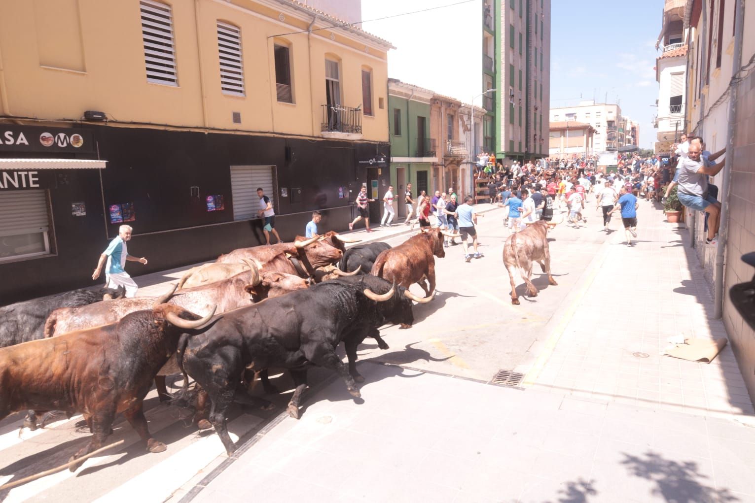 Las mejores fotos del encierro de este sábado en el Grau de Castelló por las fiestas de Sant Pere