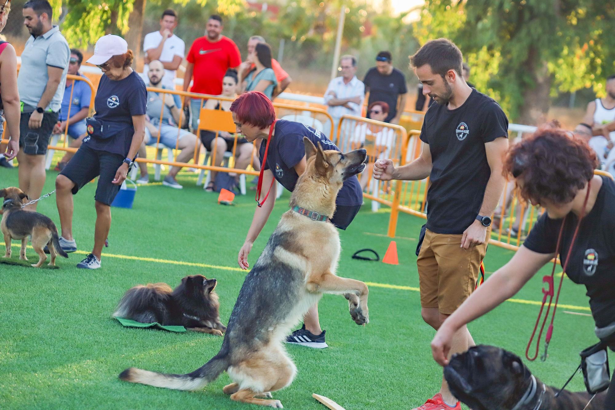 Feria del Ganado Dolores FEGADO 2022