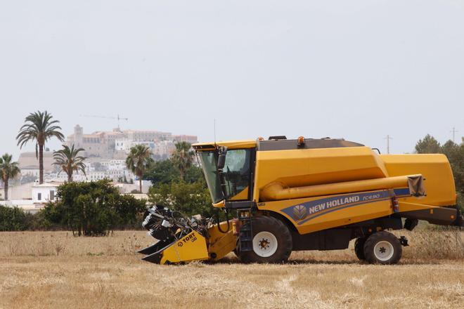 Galería de imágenes: Nueva cosechadora de la Cooperativa de Sant Antoni