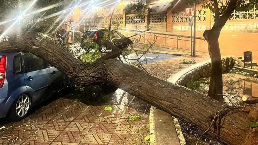 Benifaió repara los daños causados por el primer tornado de su historia