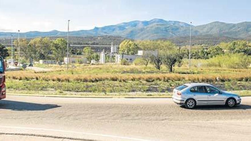 A l&#039;asfalt es pot veure la rugositat poc habitual en un ferm