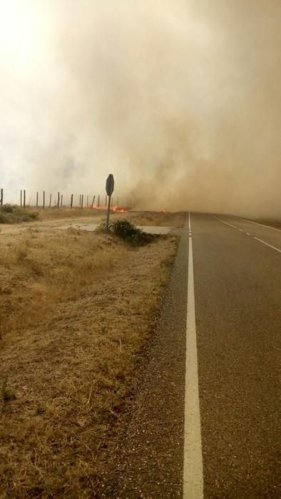 Fuego en Figueruela