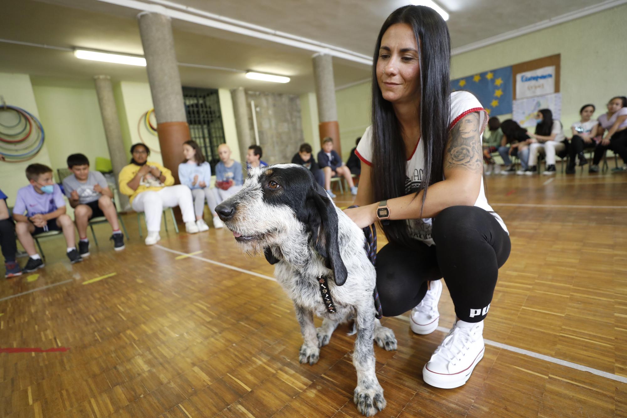 El Albergue de Animales visita a los niños del Gesta