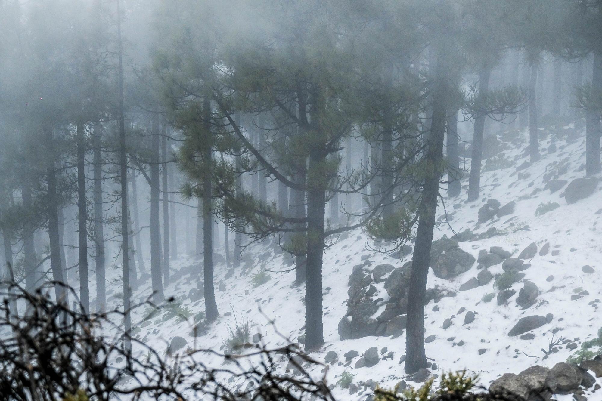 Nieve en la cumbre de Gran Canaria (15/03/2022)