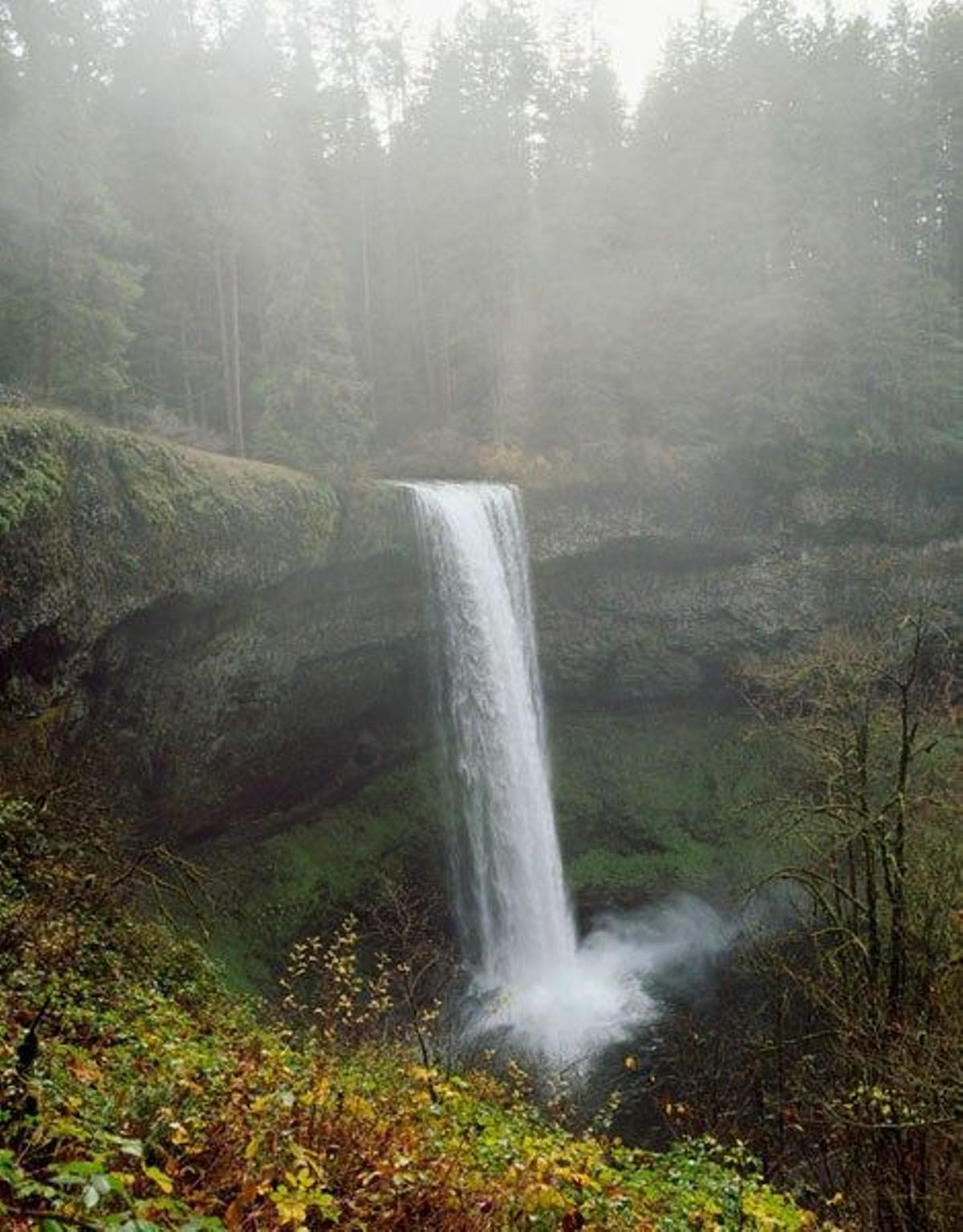 Silver Falls, en Oregón (Estados Unidos)