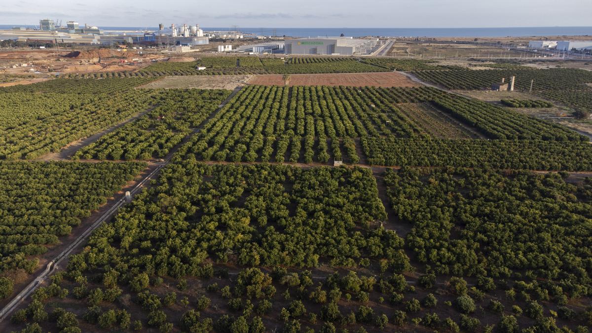 Terrenos de Parc Sagunt que ocuparán la gigafactoría de baterías de Volkswagen.