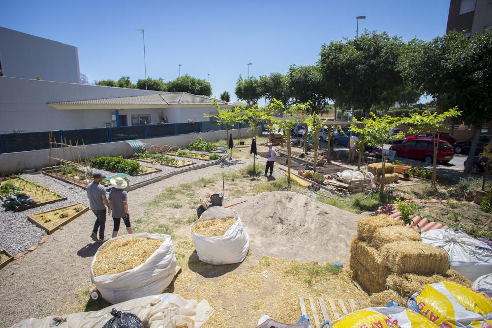 Hort interdisciplinari a l'IES Maltide Salvador de Castelló