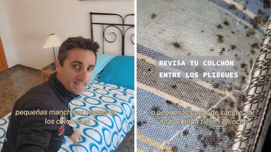 Miguel Assal, técnico de emergencias, sobre el peligro de los chinches: &quot;Pequeñas manchitas negras en los colchones&quot;