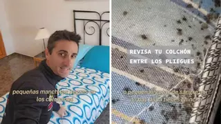 Miguel Assal, técnico de emergencias, sobre el peligro de los chinches: "Pequeñas manchitas negras en los colchones"