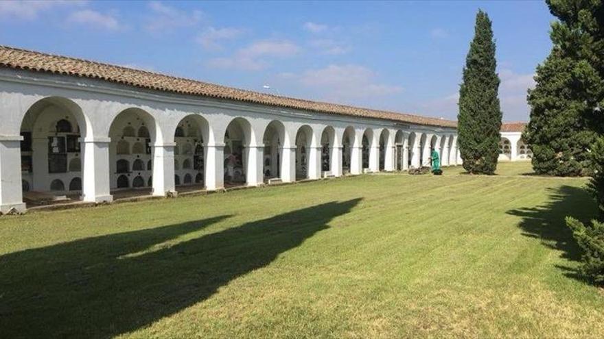 operarios de jardinería adecentan el cementerio