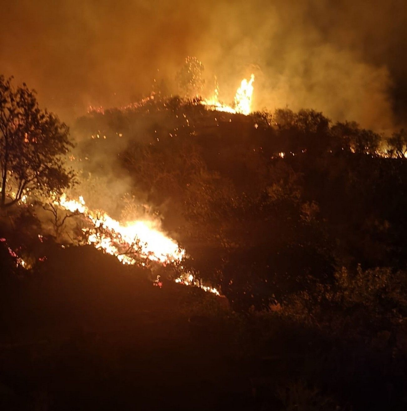El incendio de La Palma pasa a nivel 2 y se desaloja por precaución a decenas de vecinos