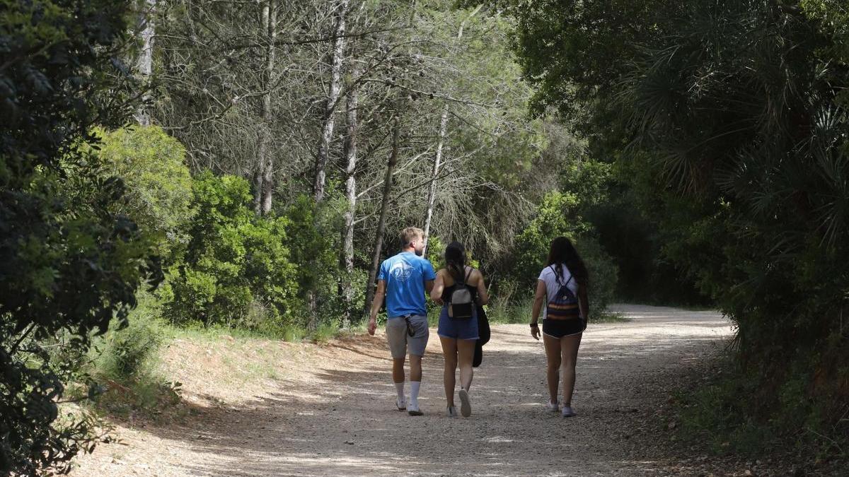 Entrada a la finca forestal de la Murta.