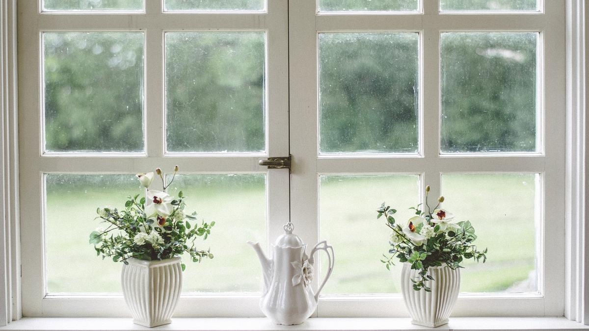 Vista de un jardín desde una ventana cerrada.