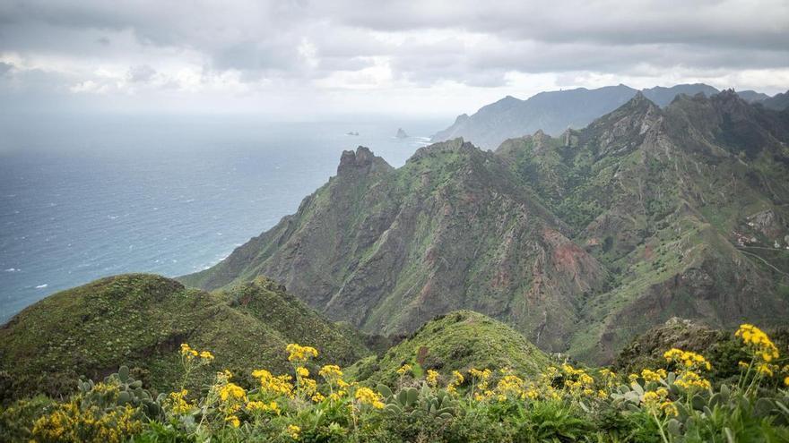 El programa CanBio alerta del deterioro crítico de la biodiversidad en Canarias y urge a tomar medidas inmediatas