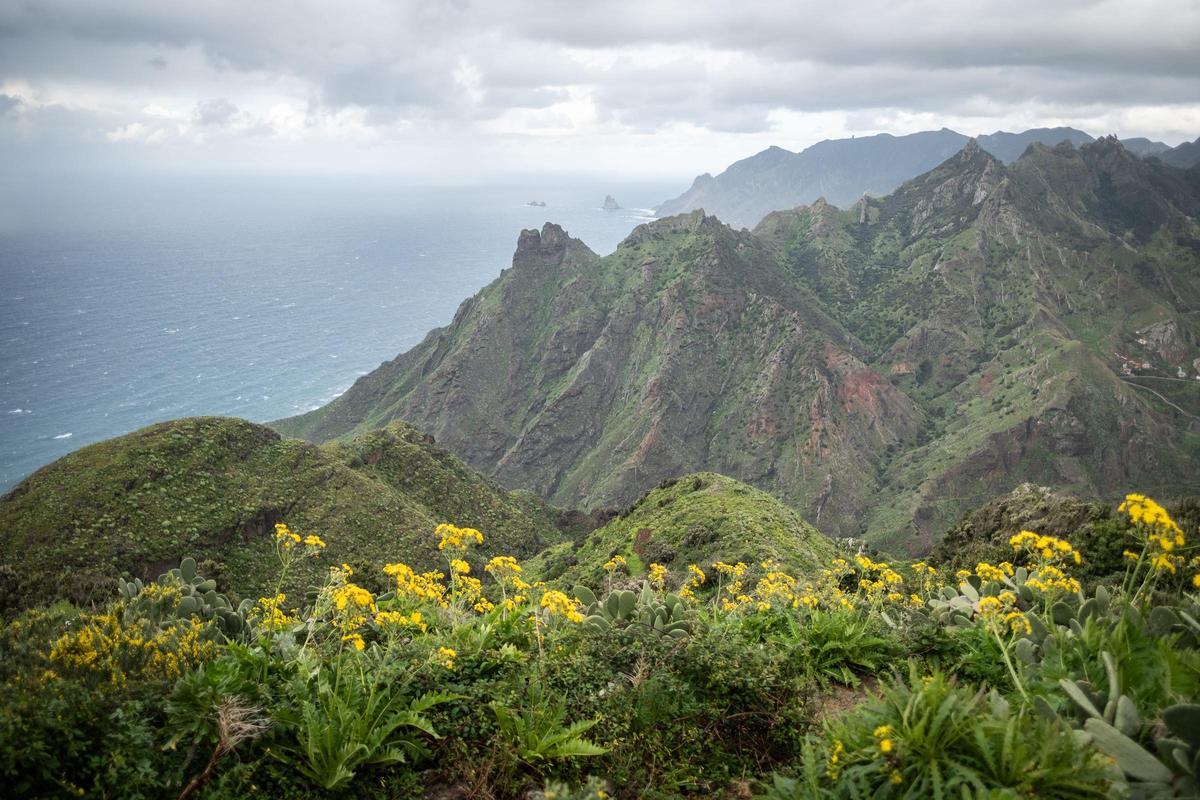 Un viaje a la Anaga profunda: Taborno
