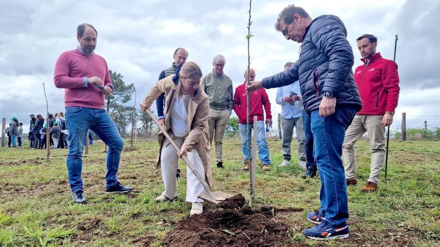 La vicepresidenta, Gimena Llamedo, con la pala, plantando un árbol en presencia de varias autoridades, entre ellas el alcalde de Pravia, David Álvarez, a la izquierda. | G. A.
