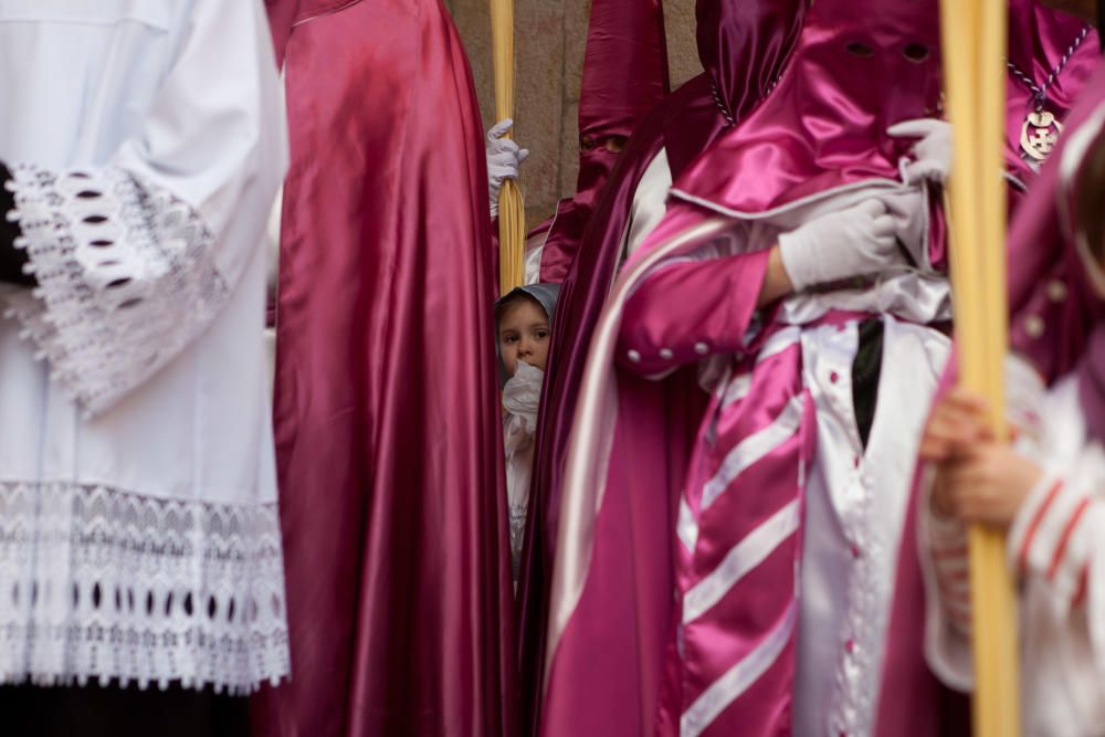 Procesión de La Borriquita