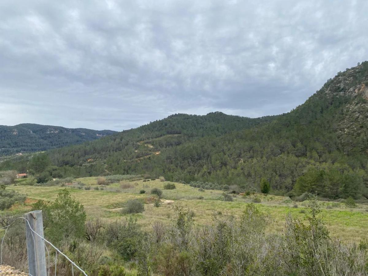 Estado actual de las parcelas donde se proyecta el camping de Quesa.