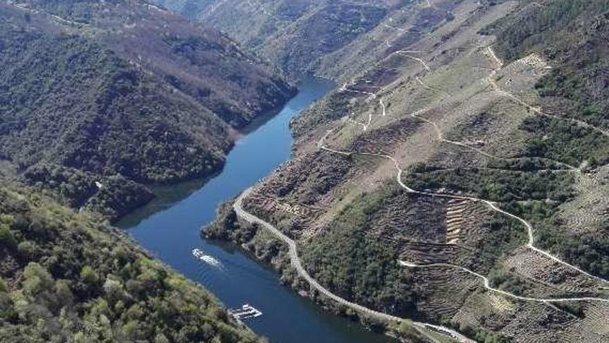 Las rutas fluviales en catamarán son muy demandadas. // FdV