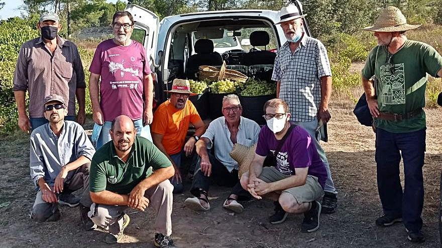 Tavernes Programes contra violència de gènere