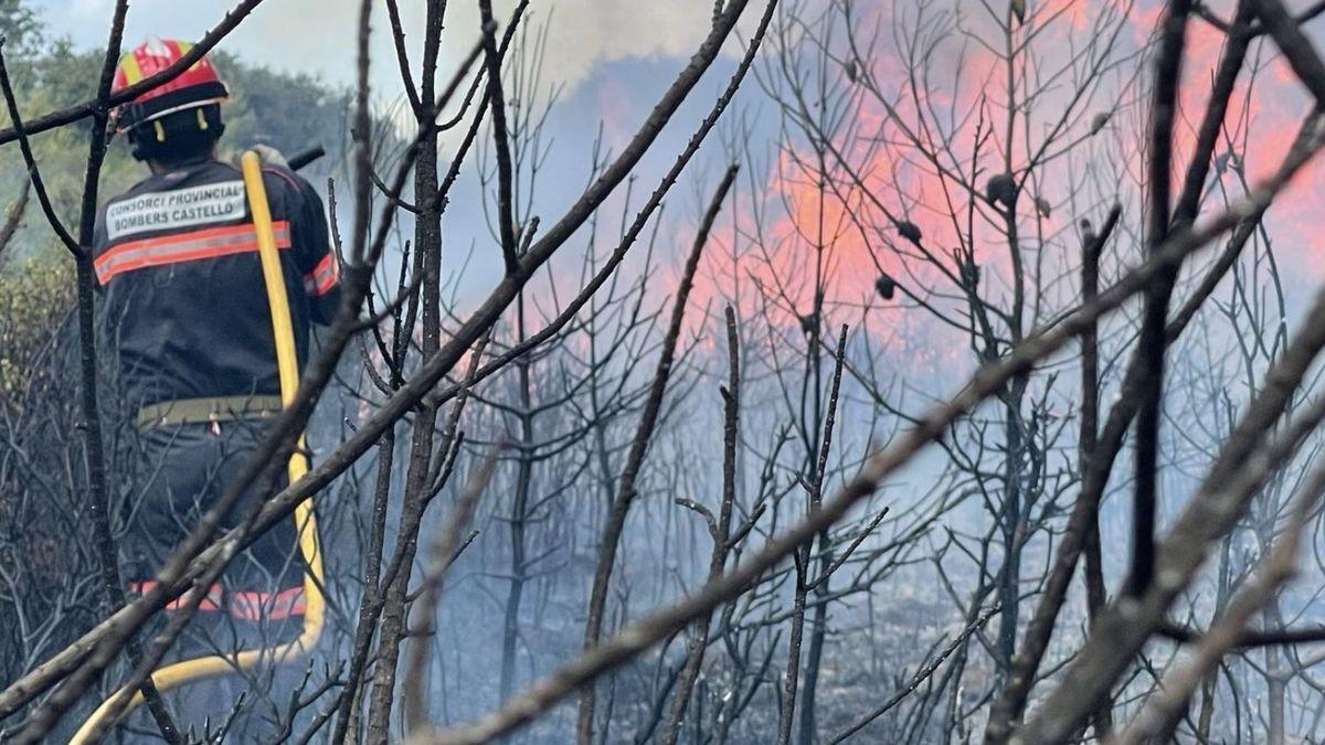 Incendio forestal entre Costur y les Useres.