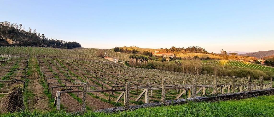 La bodega Pazo Baión reabre sus puertas al enoturismo.