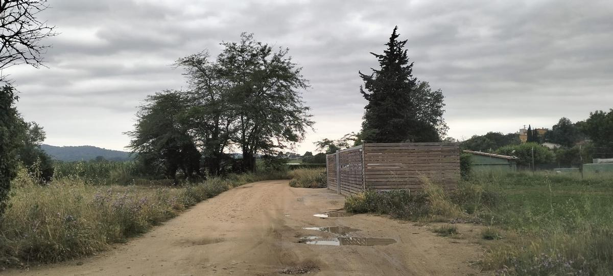 Un dels camins rurals del municipi.