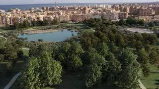 Admiten a trámite el recurso de la plataforma Bosque Urbano Málaga contra el proyecto de descontaminación de los terrenos de Repsol