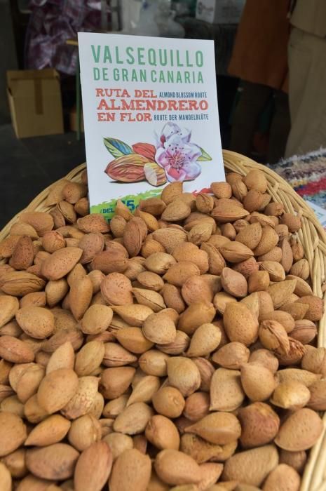 Escenificación de la Ruta del Almendrero en Flor en la calle Triana