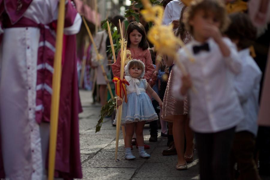 Semana Santa en Zamora: La Borriquita