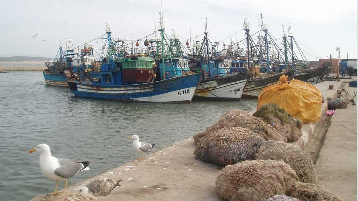 Flota pesquera de Essaouira, en la costa atlántica de Marruecos