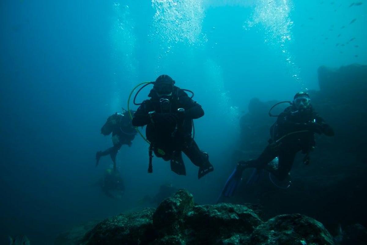 Bucear entre barracudas (El Hierro)