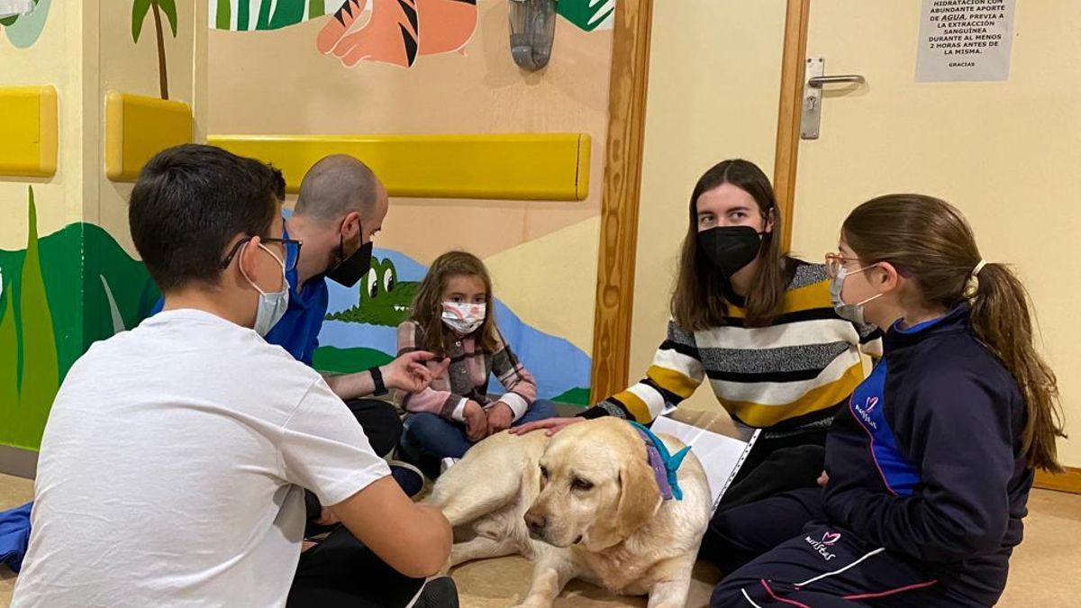 Niños y niñas interactúan con el labrador antes de pasar a la sala de extracciones.